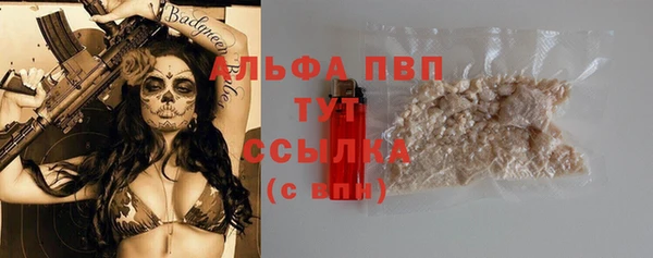 ГАЛЛЮЦИНОГЕННЫЕ ГРИБЫ Сафоново