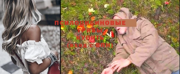 mdpv Баксан