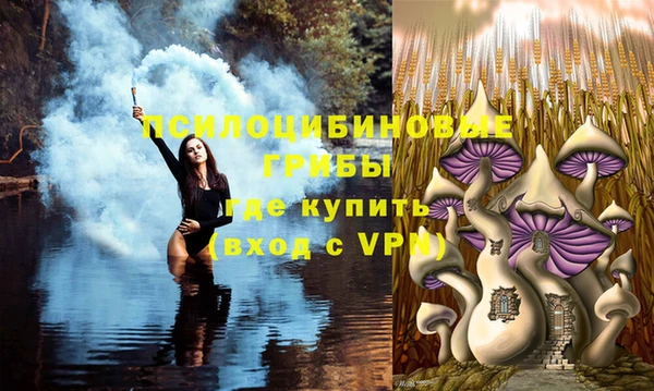2c-b Белоозёрский